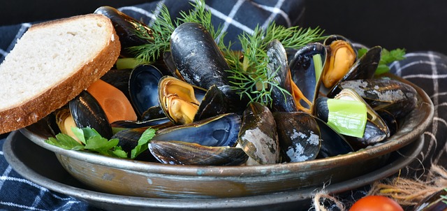 mussels-3148439_640-1